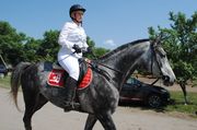 Первенство Брянской области по конному спорту
