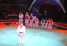 ��������� ������ ��������. ����������� ���������. ������. �������� �������