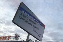 ���� ������ ������